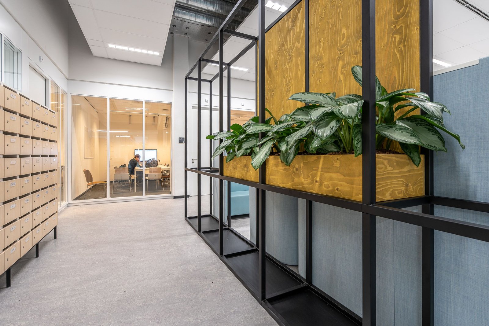 Bürogang mit Glaswänden, Schließfächern und einem Regal mit Pflanzen